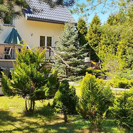 Platinum * Rydzewo (Gizycko)